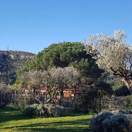 Tatil Evi A L'ombre Du Chene Piscine & Eden En Cevennes A Gard Anduze