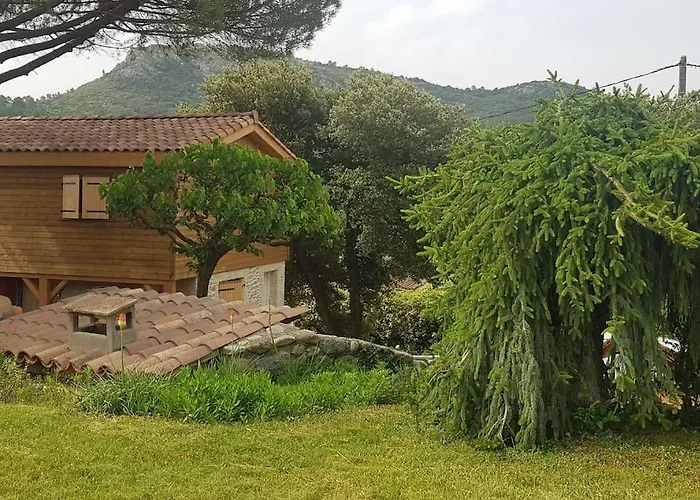 A L'ombre Du Chene Piscine & Eden En Cevennes A Gard