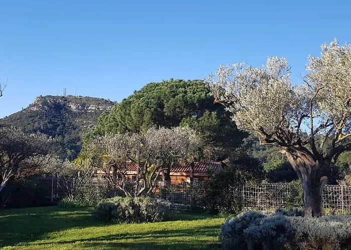 Prázdninový dům A L'ombre Du Chene Piscine & Eden En Cevennes A Gard Anduze