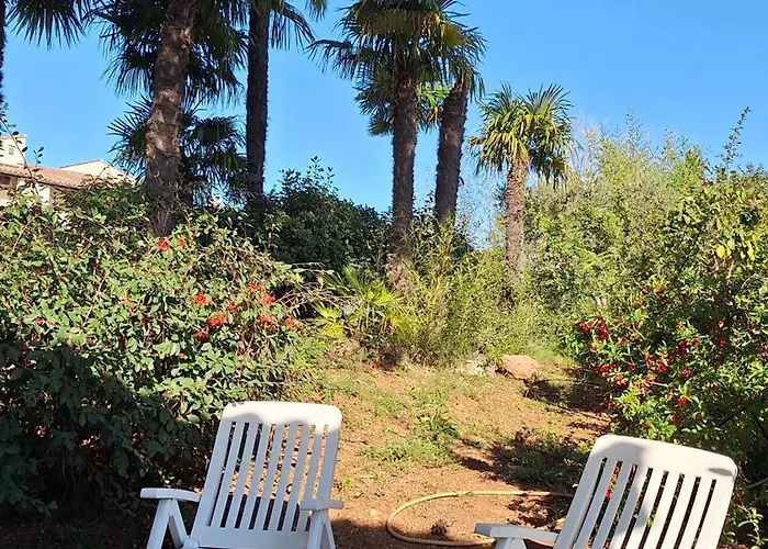 Prázdninový dům A L'ombre Du Chene Piscine & Eden En Cevennes A Gard